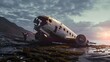 Eingeschlossene Geschichte: Das stille Flugzeugwrack