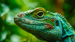Ein smaragdgrüner Leguan, eingebettet in die üppige Kulisse eines tropischen Regenwaldes, wird im Detail festgehalten.