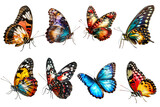 Fototapeta Motyle - Set of colorful beautiful butterfly boxes on transparent background PNG, easy to use and decorate projects.
