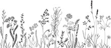 Wildflowers And Grasses With Various Insects. Fashion Sketch For Various Design Ideas. Monochrom Print.