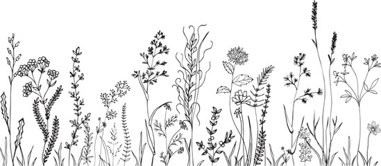 Wall Mural - Wildflowers and grasses with various insects. Fashion sketch for various design ideas. Monochrom print.