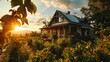 Beautiful sunset in the vineyard of the village with a wooden house