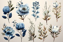 Watercolor Design Elements Blue Beige Flowers, Leaves, Eucalyptus, Branches Set For Wedding Stationary, Invitation Card