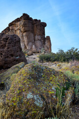 Wall Mural - Yellow lichens on stones in a mountain desert in Arizona, near Phoenix