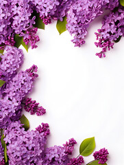  Frame with purple lilac flowers and white background with copy space 