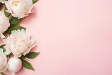 Fototapeta Tulipany - Flat lay of white peony flowers with copyspace on pink background