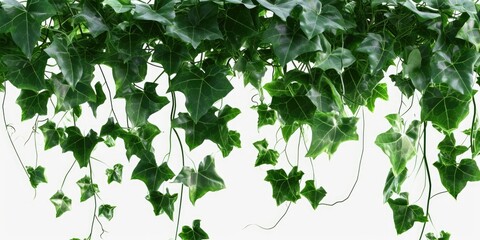 Sticker - A bunch of green leaves hanging from a ceiling. Perfect for adding a touch of nature to any indoor space