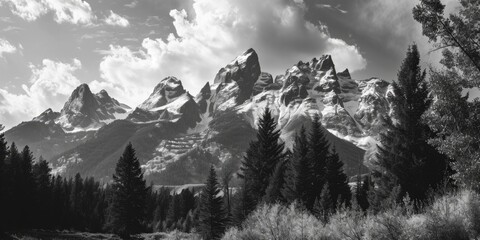 Poster - A black and white photo of a majestic mountain range. Perfect for nature enthusiasts and adventure seekers