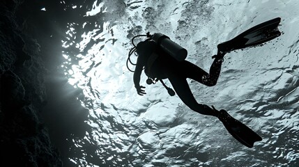 Wall Mural - scuba diver in the sea