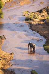 Wall Mural - A solitary elephant standing in the shallow waters of the Imfolozi River in the vastness of the Hluhluwe Imfolozi Game Reserve in South Africa.