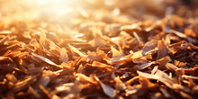 Rich mahogany wood shavings glow under a late afternoon sunbeam