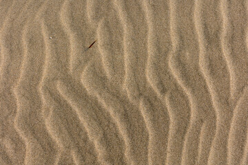 sand ripples on the beach