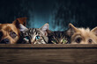 Friendly dogs and cats peek over web banner. AI Generative creates cute pet portrait with isolated white background.