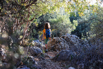 Sticker - A boy with a backpack and a bottle of water walks through the forest. a child explores the wild, a child walks along a path among the trees.