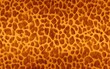 © sitifatimah - Spotted Giraffe Fur Background