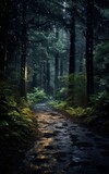 Fototapeta Natura - Image of a Tranquil Forest Path at Night