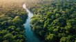 Cinematic, Aerial Photography, dense Amazon Rainforest, tropical wet climate, rich greens of the canopy, winding rivers, biodiversity hotspot.