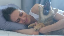 Happy Young Woman Hugs Cute Yawns Puppy Shiba Inu Dog Lying On Bed Together At Home Interior. Close Up. Young People, Domestic Animals, Happiness And Love Concept.