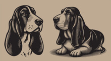 Basset Hound Dog. Beautiful Graphic Illustration Icons Logo Set. In Old Vintage Style