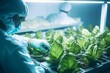 A scientist in a lab coat and gloves carefully examines a tobacco plant in a modern agricultural laboratory