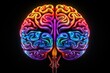 Brain neurogenesis in hippocampus, prefrontal cortex, hub of intelligence, complex interplay of gray matter neural pathways in brainstem, neurology, human cognition memory, perception consciousness
