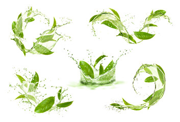 Poster - Green tea leaves with wave flow splash and drops. Vector 3d water or matcha drink crown, round and wavy splashes with falling droplets and bubbles. Natural herb beverage for refreshment and health