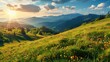 Idyllic mountain landscape in the Alps with blooming meadows in summer springtime