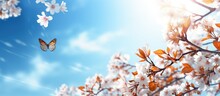 Copy space, colorful leaves blue sky background and butterfly on cherry blossoms cherry blue sky background