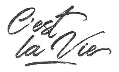 Poster - French expression C’est la Vie written in brush script font with marker ink effect isolated on transparent background