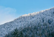 Beautiful mountain slope with snowy trees against blue sky