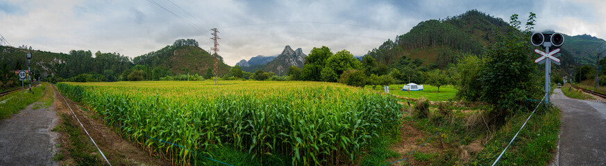 Poster - Green field next to a winding country road, with rolling hills in the background in Asturias, Spain