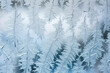 © SHOTPRIME STUDIO - Cold seasonal textured frosted nature weather ice winter snow christmas blue