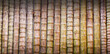 © bborriss - Bamboo wall decoration. Background or texture Selective focus