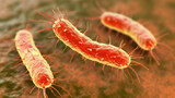 Fototapeta  - Digitally rendered image of gut bacteria or microbiome