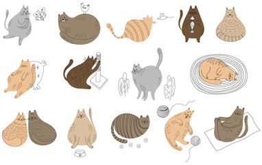 Wall Mural - Set of cute cartoon cats different poses. Hand drawn illustration in doodle style isolate on white collection.