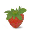 Red fruit - strawberry isolated on transparent background with a shadow, png ready to use. 