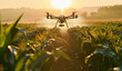A image of a drone spraying water on a corn field. Generative AI