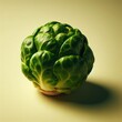 head of cabbage on simple background
