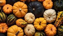 A Variety Of Pumpkins And Gourds