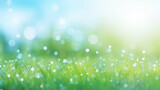 Fototapeta  - Beautiful sunny spring meadow with green grass and blue sky. Abstract background with light bokeh and space for text.