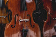 close up of Violins are hanging in retail store to sell