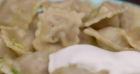 Wall Mural - small dumplings with wheat flour and pieces of meat, cooked dumplings close-up