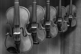 black and white picture of multiple violins hanging on the wall, musician workshop
