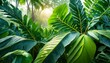 Nature leaves, green tropical forest, backgound