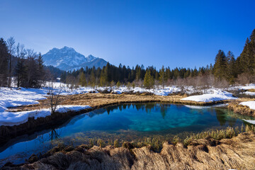 Canvas Print - winter landscape in Zelenci, Slovenia