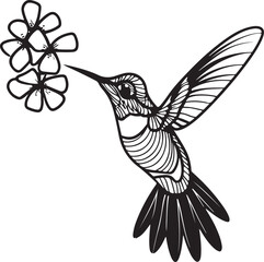 Wall Mural - Hummingbird line art silhouette illustration design vector