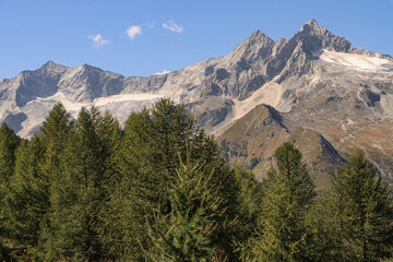 Wall Mural - Majestätische Gipfel über dem Valmalenco; Blick auf Monte Sissone (3328), Cima di Rosso (3365) und Cima di Vazzeda (3300)