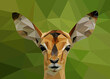 The head of a roe deer on a green background. Abstract triangular style.  Vector illustration.