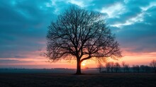 A Picturesque Scene Of The Sunrise In The Blue Hour, With Tree Silhouettes Creating A Striking Contrast Against The Sky In Shades Of Blue And Violet.