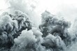 Thick plumes of grey smoke against a stark white background, forming an abstract scene of contrast and depth.